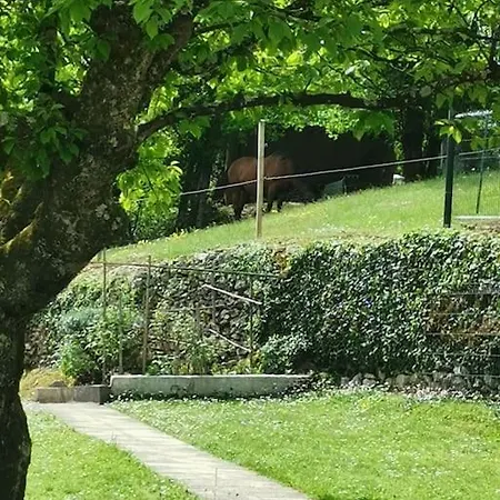 Prázdninový dům Le Machaon , Rural *** Avec Espace Piscine Prive Brégnier-Cordon