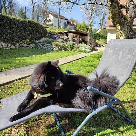 Casa de Férias Le Machaon , Rural *** Avec Espace Piscine Prive Brégnier-Cordon